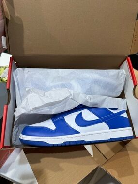 Nike Mens Blue & White Low-Top Sneakers